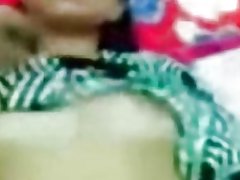 Malese-tettona timido timido gatto